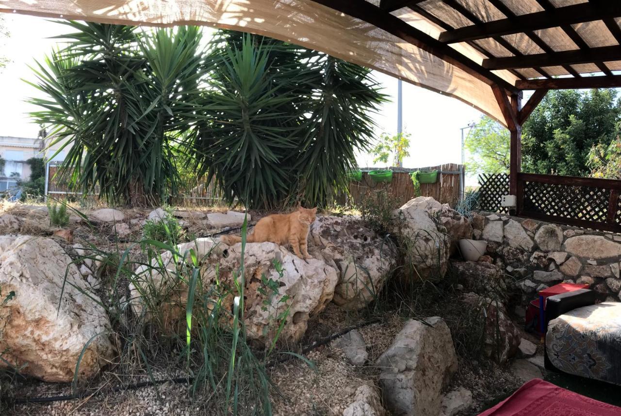 Panorama Kinneret נוף כנרת, צפת 外观 照片