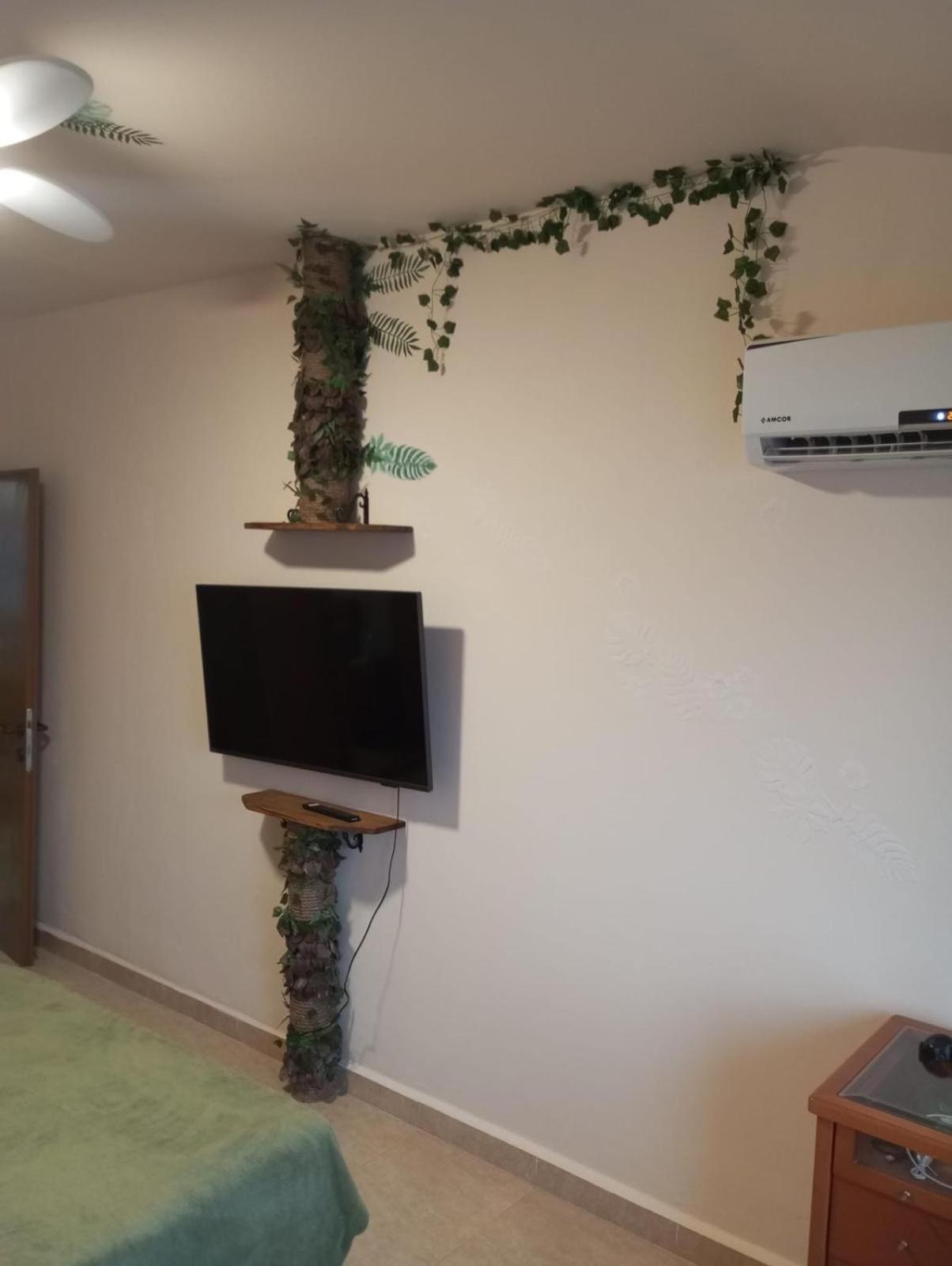 Panorama Kinneret נוף כנרת, צפת 外观 照片